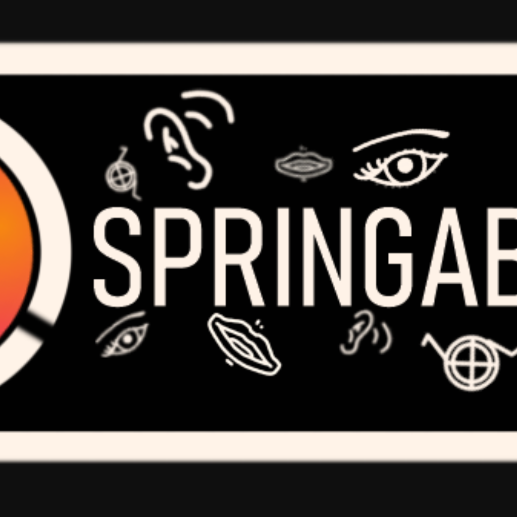 Foto voor SpringAbility ziet het levenslicht