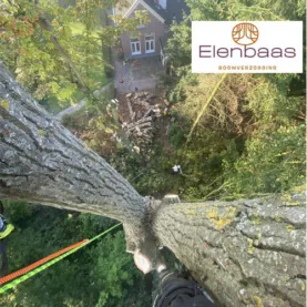 Bekijk deze portfolio item van  op Webburo Spring BV 