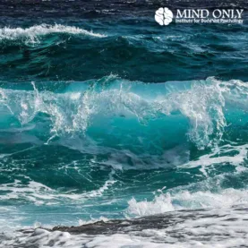 Bekijk deze portfolio item van  op Webburo Spring BV 