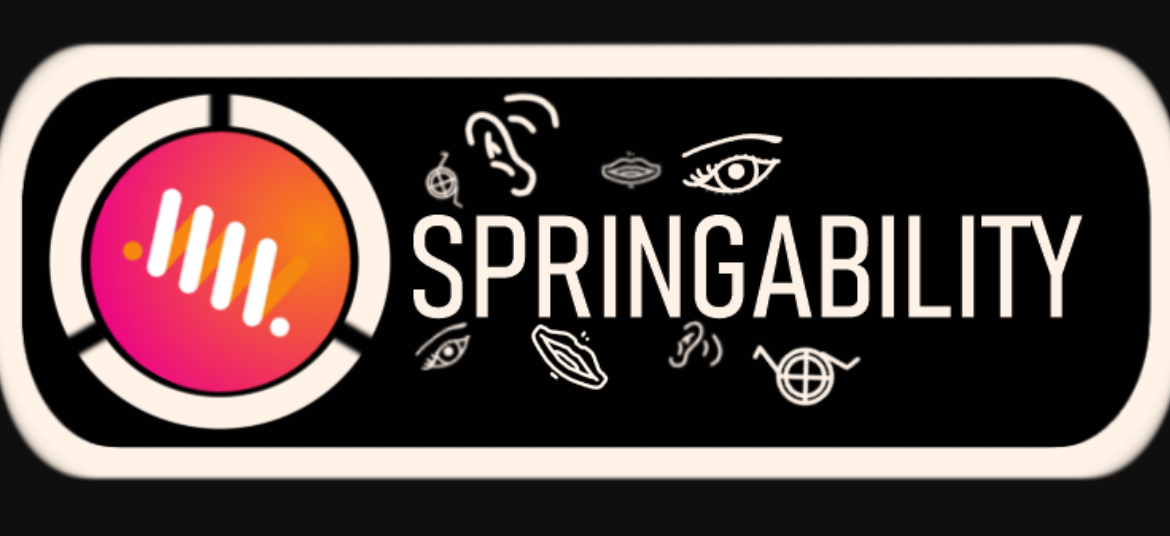 Toegankelijkheidstool van Webburo Spring BV