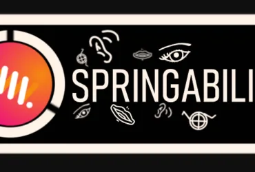 tips-en-advies-item van Webburo Spring BV