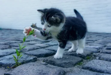 tips-en-advies-item van Webburo Spring BV